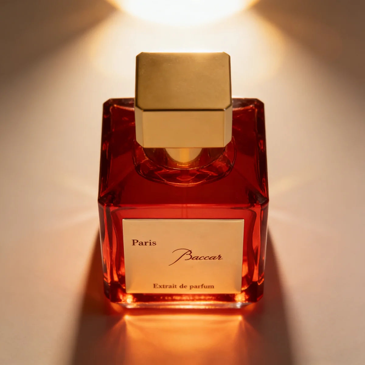 CBXESN Luxury Amber Saffron Woody Unisex Fragrance